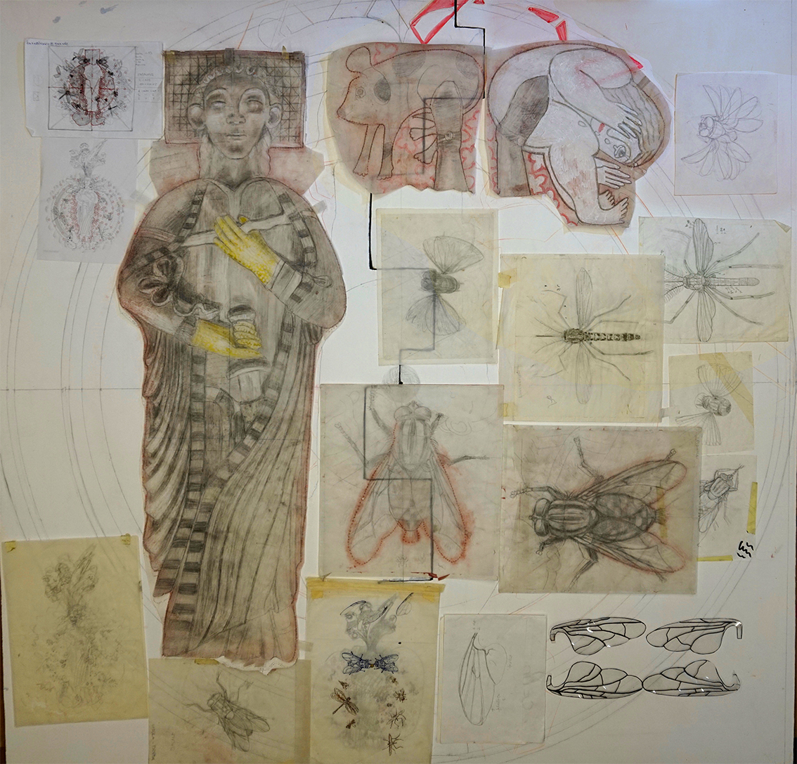 5 - DIBUIXOS PRELIMINARS